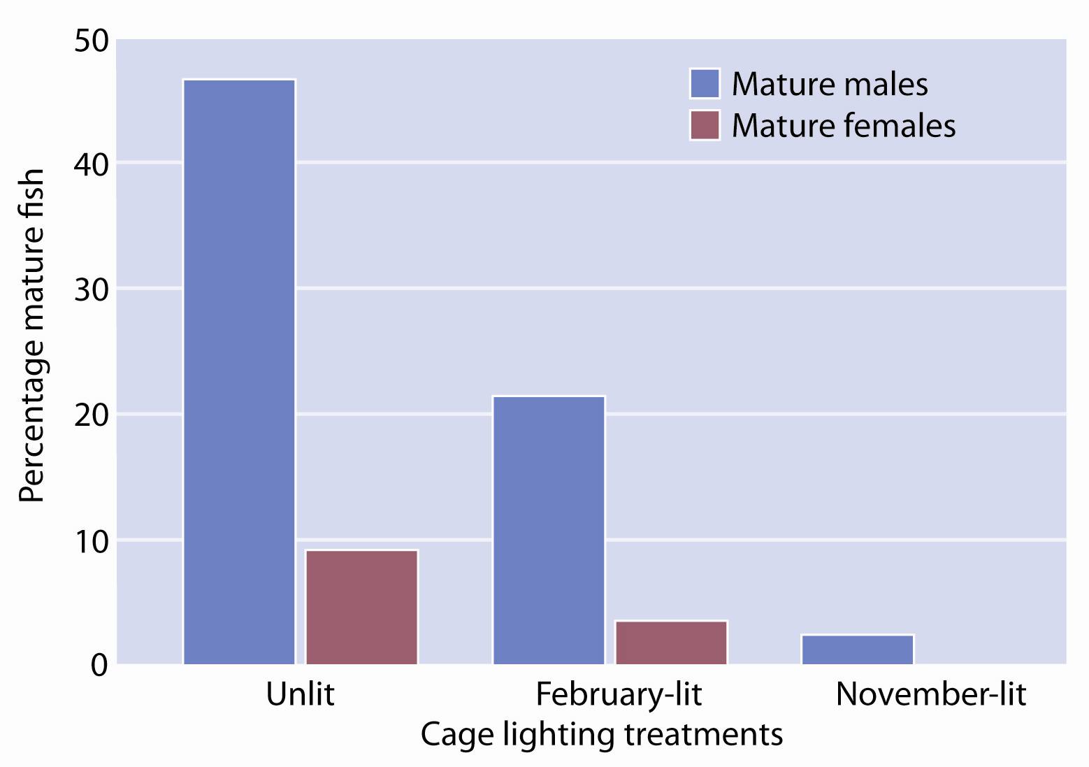 Percentage of mature males and females in harvest samples from unlit, November- and February-lit cages on Site #1.