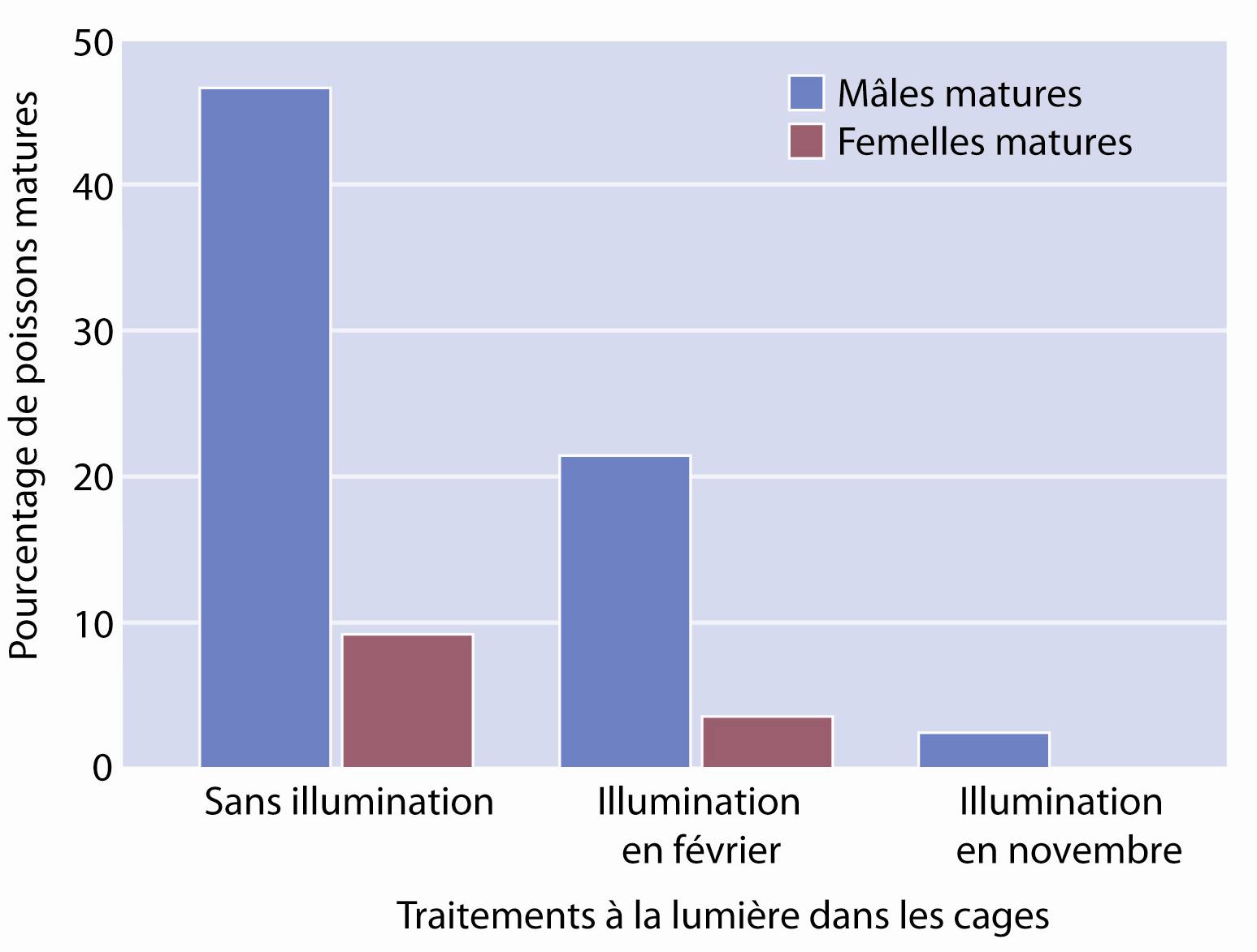 Pourcentage de mâles et de femelles matures dans les échantillons récoltés à partir des cages non illuminées, et des cages illuminées en novembre et en février dans le site no 1.