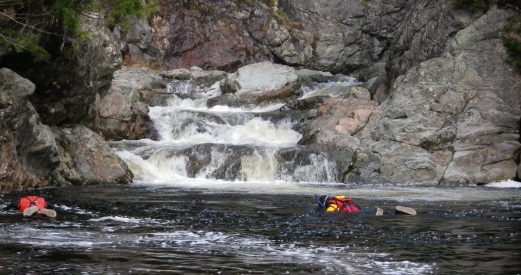 Two divers survey a river for returning salmon