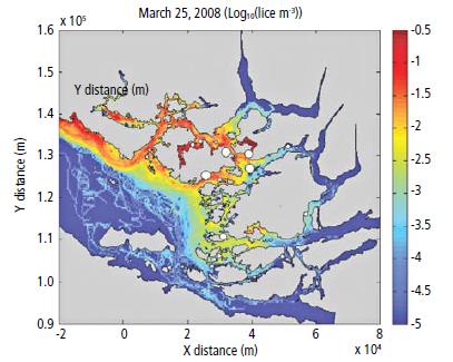 Figure 2. Map showing March 25 daily averaged copepodid concentrations in the surface layer for the CAMP plan simulation with diel vertical migration. Circle locations are active farms; the relative size of the circle represents the number sea lice eggs(from industry data) used to initiate the model simulation.