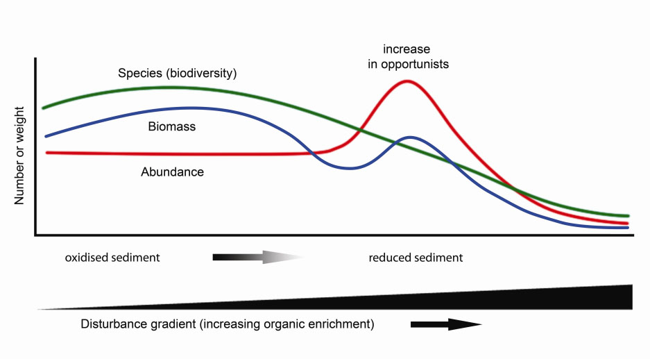 Figure 4. Generalized patterns of benthic invertebrate community and sediment changes as they are related to benthic disturbance and organic enrichment (after Nilsson and Rosenberg (2000)).