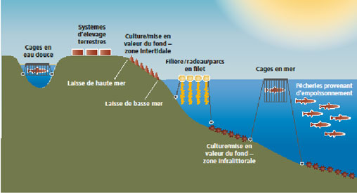 Types d'aquaculture