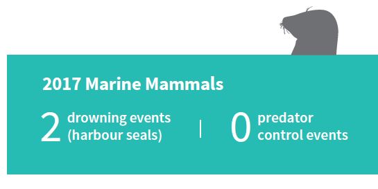 2017 Interactions with marine mammals