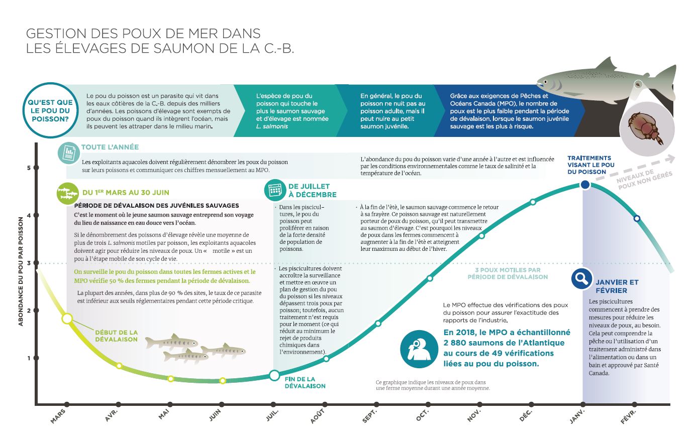 Infographie : Gestion du pou du poisson aux fermes salmonicoles de C.-B.