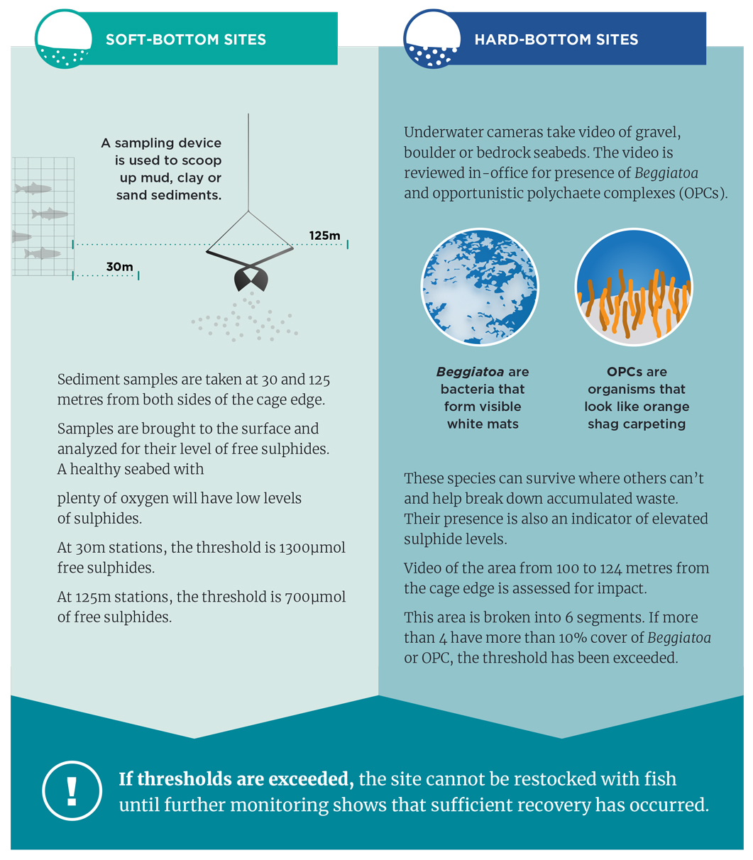 Infographic: Soft and hard bottom sites
