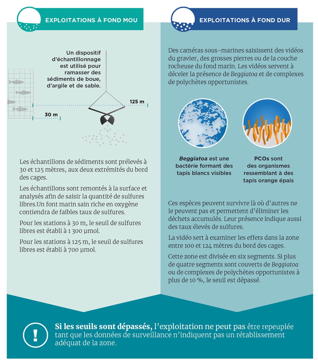 Infographie : Fonds mous et durs