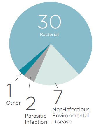 2020 Fish Health Events