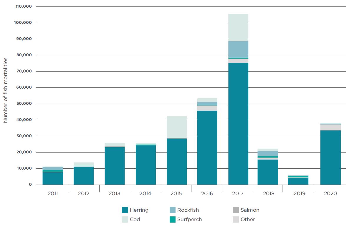 DFO marine finfish aquaculture incidental catch, 2011 to 2020