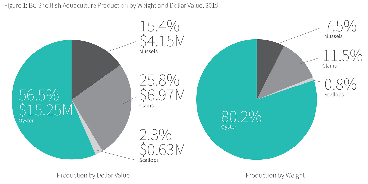 BC shellfish aquaculture production by weight and dollar value, 2019