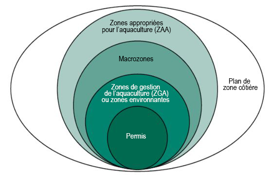 Figure des catégories spatiales de la salmoniculture en cages marines au Chili. Des zones de gestion de l'aquaculture sont établies pour les trois espèces d’élevage et des permis pour les espèces individuelles. 
