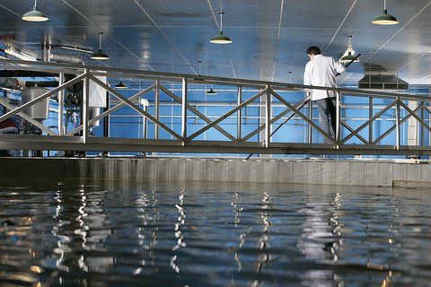 This catwalk to the larger tanks.