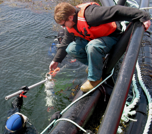 Gregor Reid hands an ADV current meter to Shawn Robinson and Andrew Cooper for deployment between mussel socks to collect data on current dynamics and nutrient delivery from salmon cages