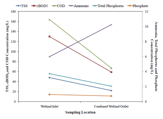 Changes in water characteristics following constructed wetland system treatment