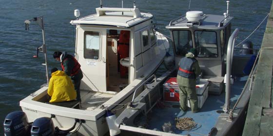 Two DFO coastal vessels from BIO being prepared to conduct the survey work