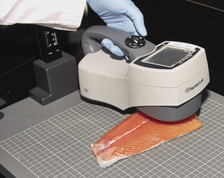 Colourimeter used to measure the colour in salmon fillets