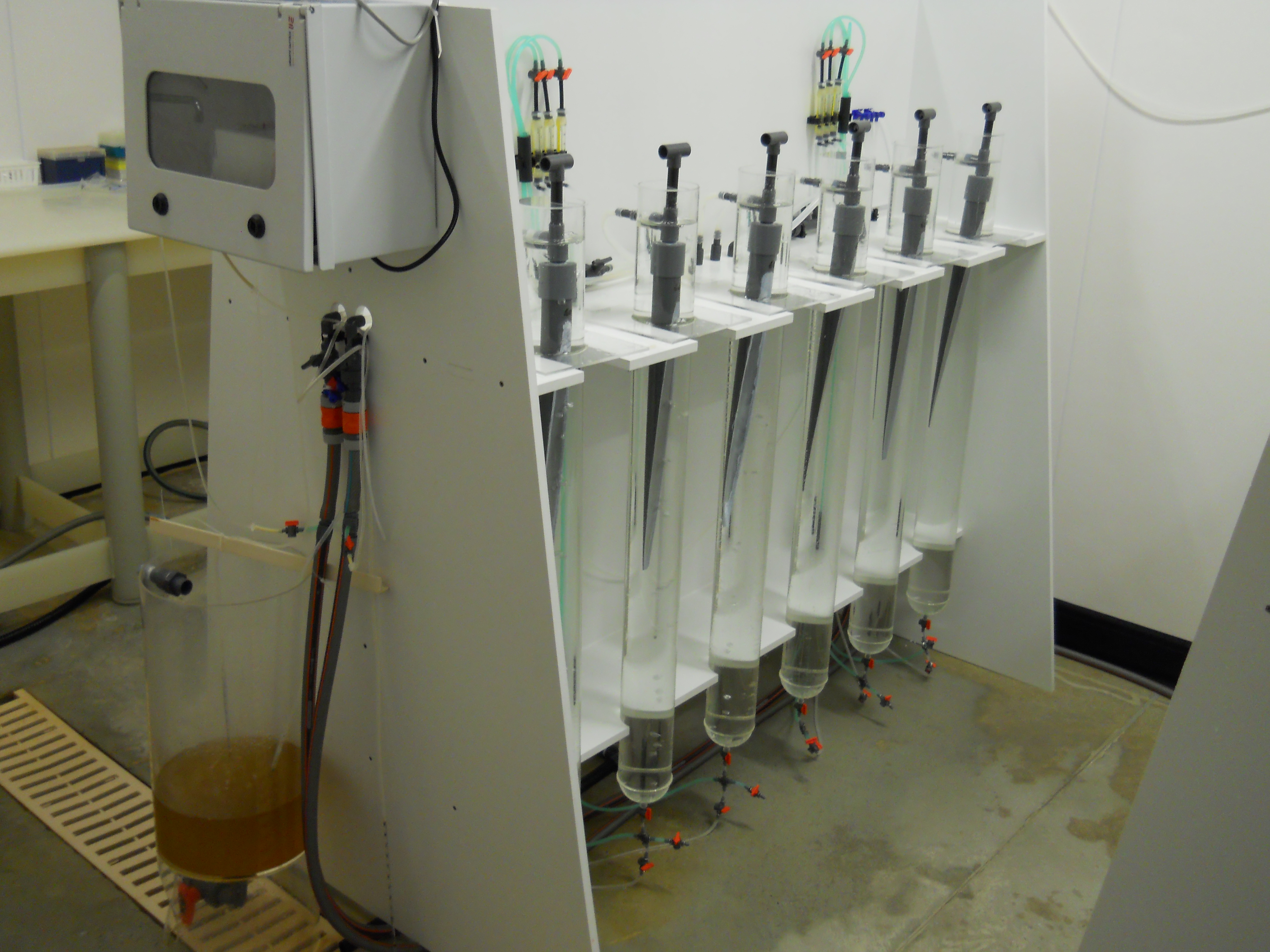 Experimental flow-through system used at IFREMER