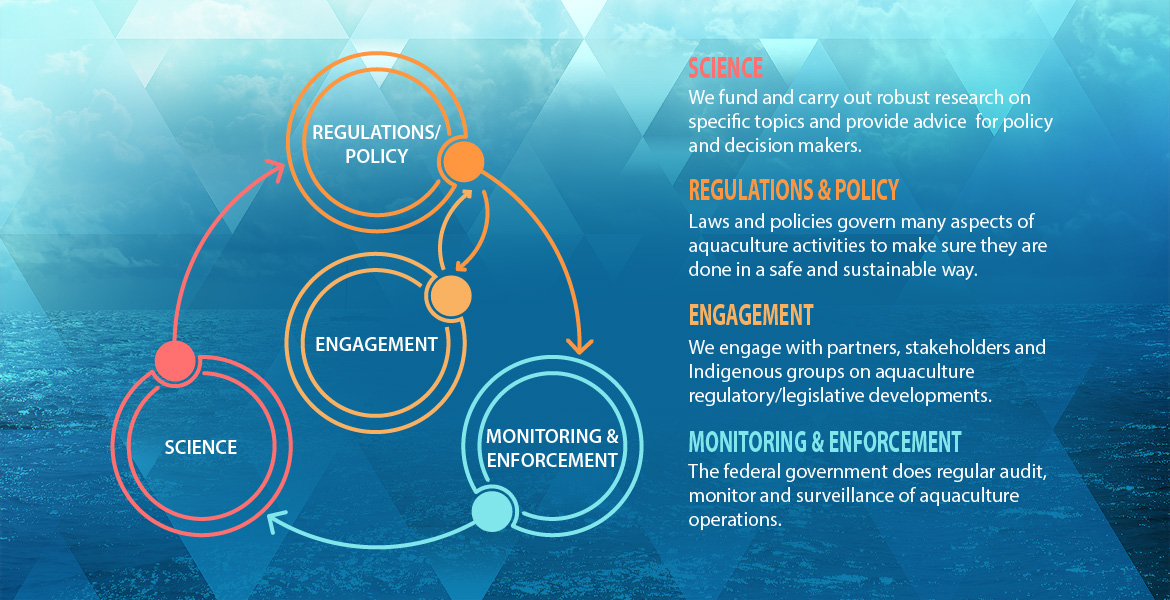 Federal oversight of aquaculture activities. See long description.