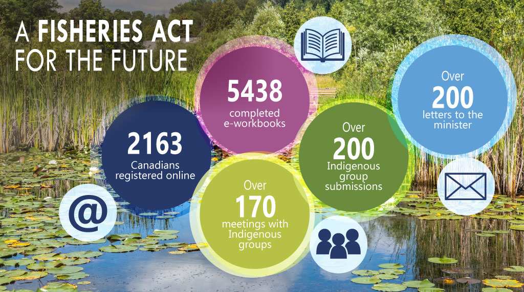 Infographic summarizing consultations on the Fisheries Act<