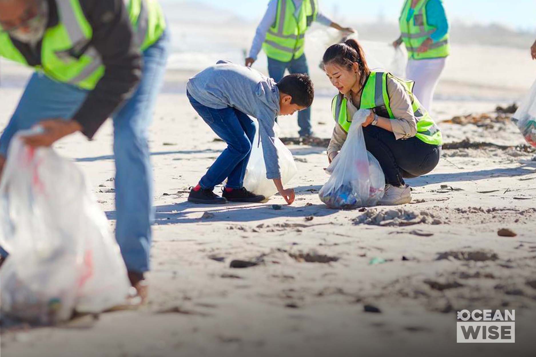 Sandy beach cleanup with people kneeling to pick up garbage and put it in white plastic bags.