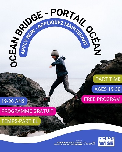 : Affiche colorée du Portail Océan avec une femme sautant d'un rocher à l'autre sur le rivage, il est écrit en anglais et en français : « Appliquez maintenant », « Temps-partiel », « 19-30 ans » et « Programme gratuit ». En bas se trouvent les logos de Service Jeunesse Canada et d'Ocean Wise.