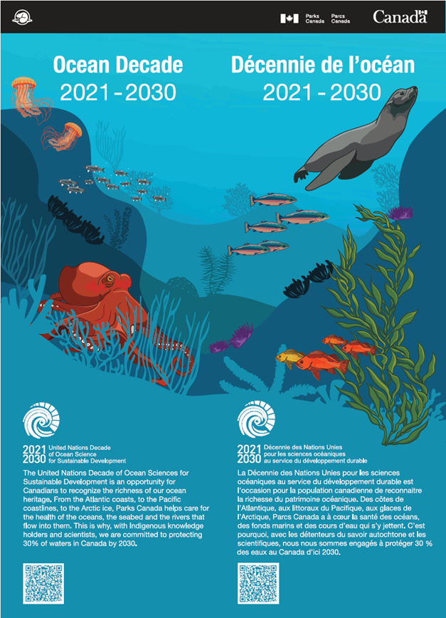 Bannière bilingue avec une image représentant la vie marine, où l’on voit des poissons,  des coraux, des algues, des méduses, un pieuvre et une otarie. On peut y lire « Décennie de l’océan 2021 – 2030 » dans le haut, et une description de la Décennie des Nations Unies pour les sciences océaniques au service du développement durable, le logo de la Décennie et un code QR.