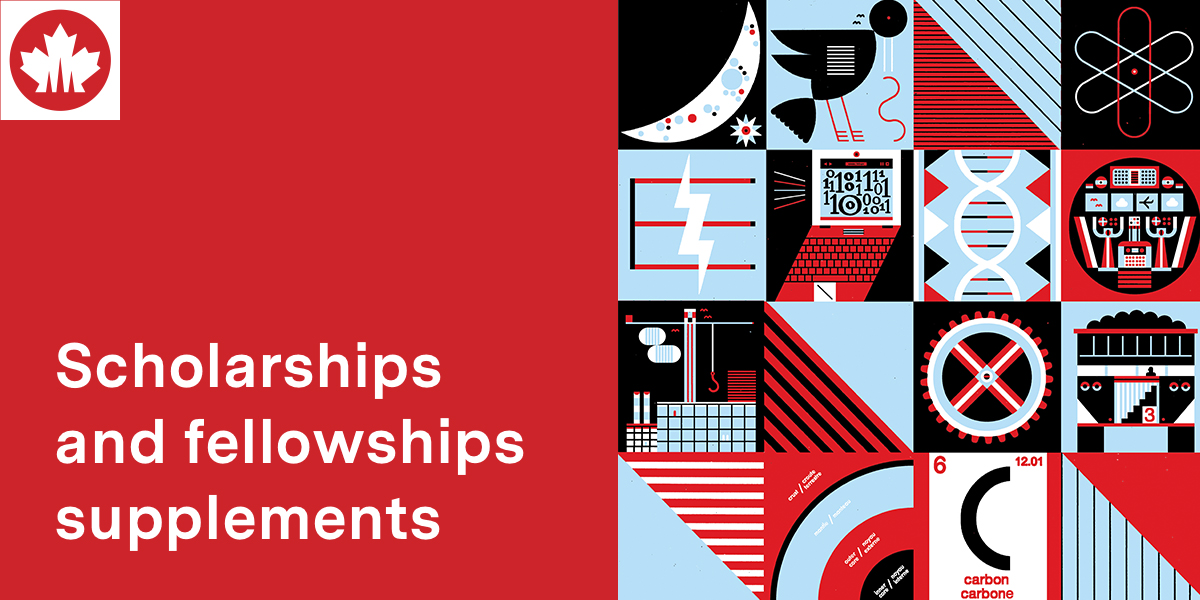 Stylized image with red background and the text ‘Scholarships and fellowships supplements’ in white font.
