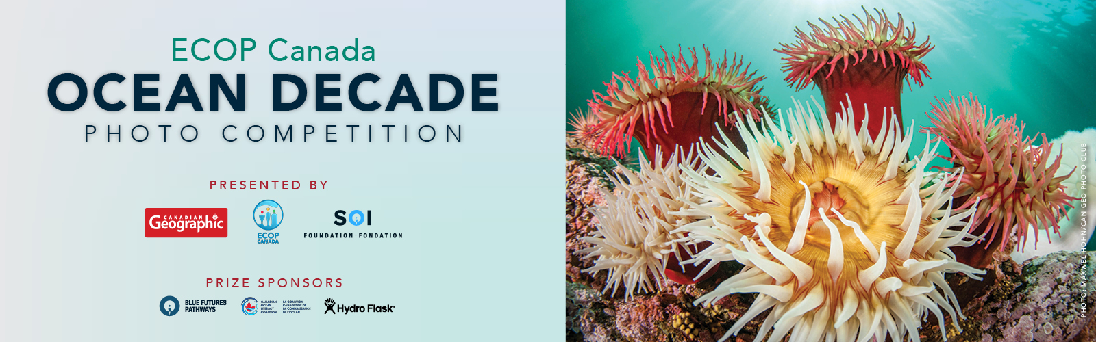 Underwater photo of colourful anemones on hard substrate next to the text ‘ECOP Canada Ocean Decade photo competition’, presented by Canadian Geographic, ECOP Canada, Sustainable Ocean Alliance, and sponsored by Blue Futures Pathways, the Canadian Ocean Literacy Coalition, and Hydro Flask.