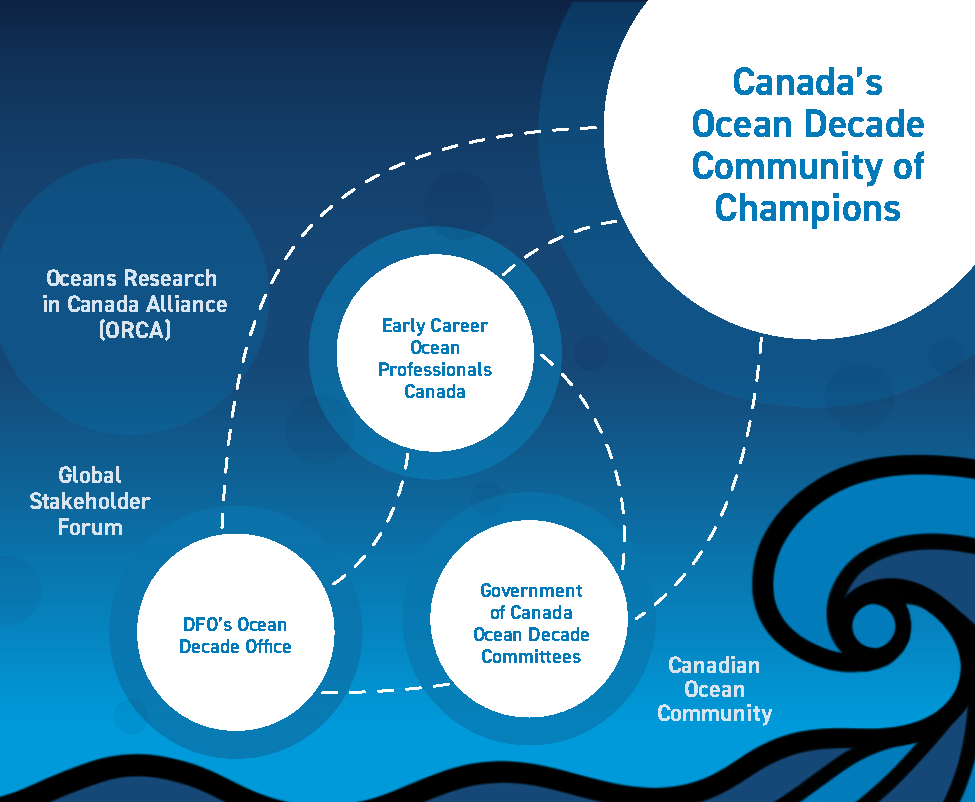 Representation of the ecosystem in place to support the development of a Canadian contribution to the Decade