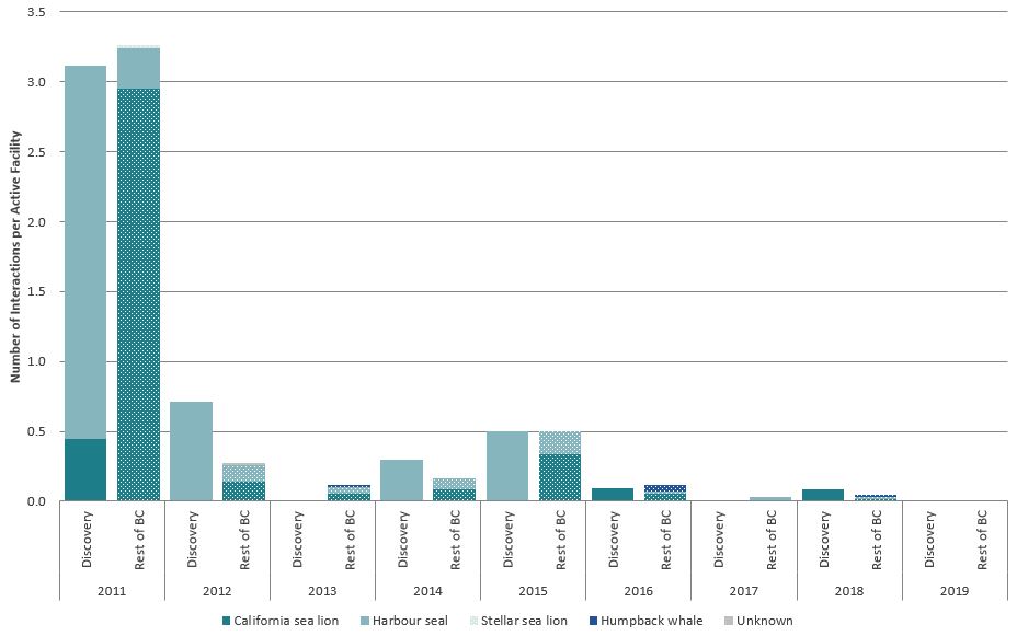 Bar graph showing marine mammal fatalities at marine finfish facilities in BC by species, 1990-2019