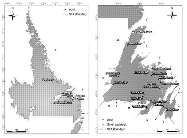 Figure 1 : Cartes indiquant les emplacements des rivières dans les ZPS 1 à 14B, où les populations de saumon de l’Atlantique ont été surveillées en 2018.