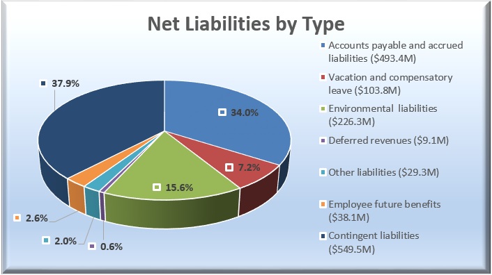 Net Liabilities by Type