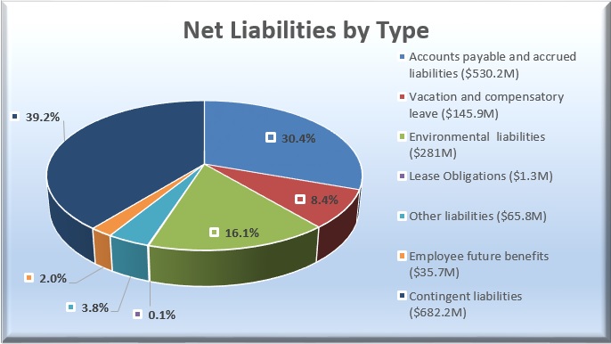 Net liabilities by type