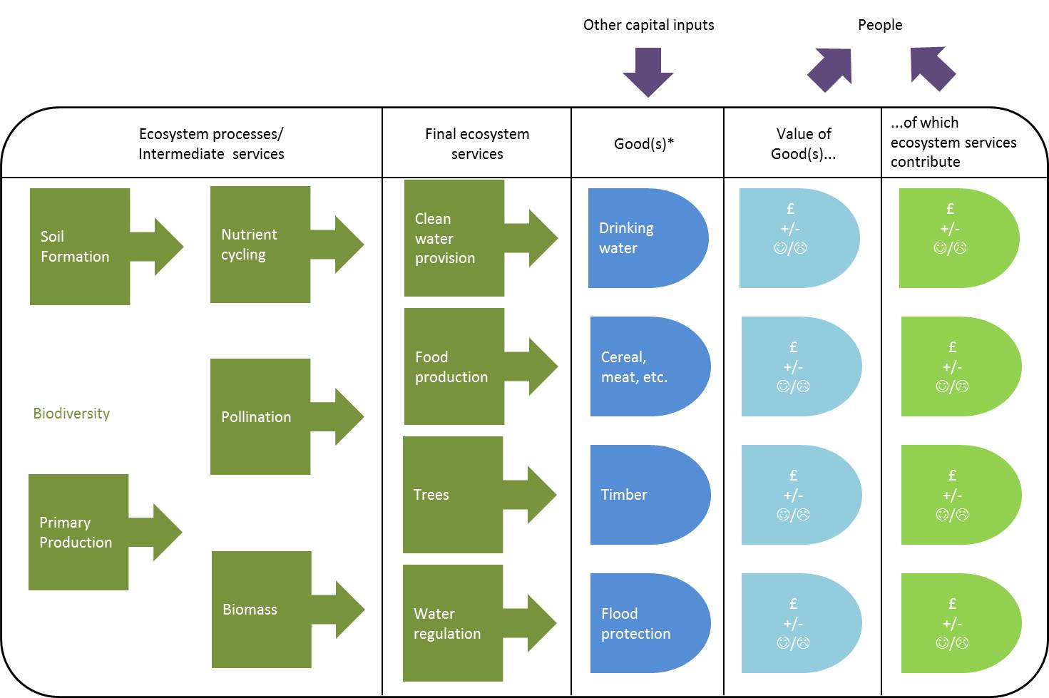UKNEA- ES Framework