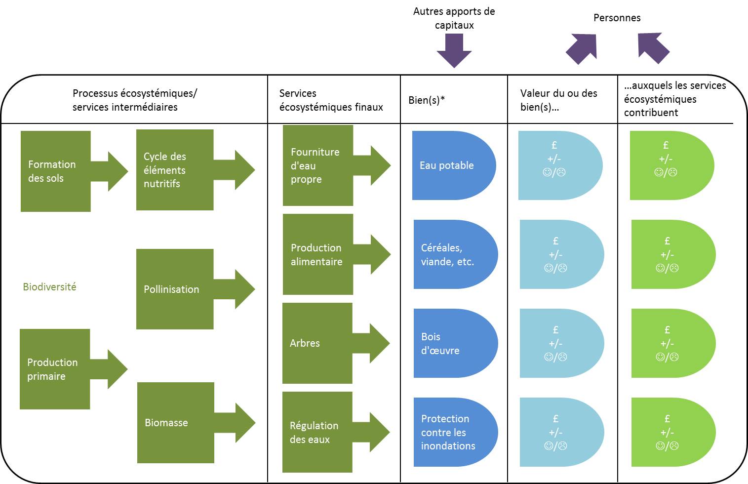 Figure 3 : Cadre conceptuel d'évaluation des services écosystémiques dans la UK NEA