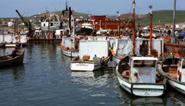 fishing boats