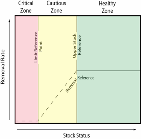 Components of the precautionary approach