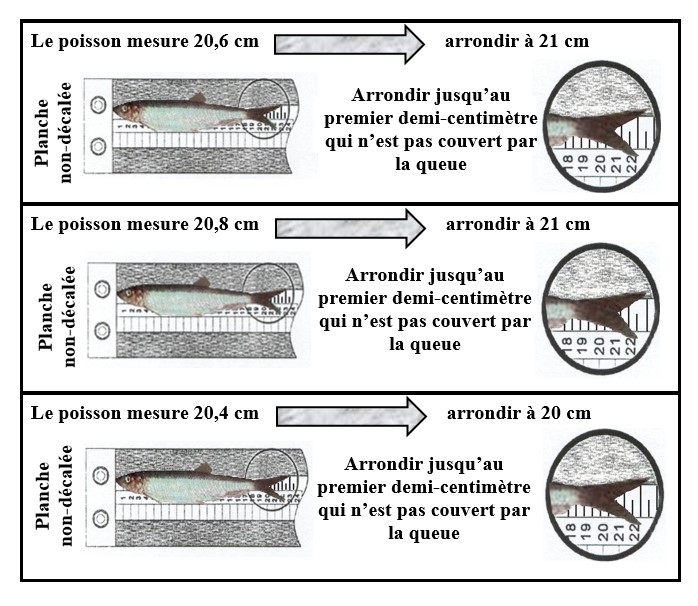 Image de méthode d’échantillonnage