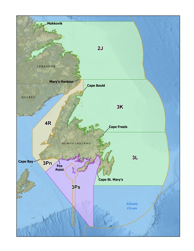 A map indicating the three primary Atlantic cod stocks in Newfoundland and Labrador waters, identified by the Northwest Atlantic Fisheries Organization (NAFO) Division where they are found. Northern cod, located in NAFO Divisions 2J3KL extends from the eastern side of the Avalon Peninsula and along the northeast coast of the island all the way to the east coast of Labrador. Cod in NAFO Division 3Ps range from the south-western side of the Avalon Peninsula along much of the south coast of the island. Cod in NAFO Divisions 3Pn4R is known as Northern Gulf of St. Lawrence cod and is found from the tip of the Northern Peninsula south, all the way along the west coast of the island.