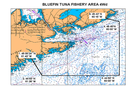 Bluefin Tuna Fishery Area 4Wd