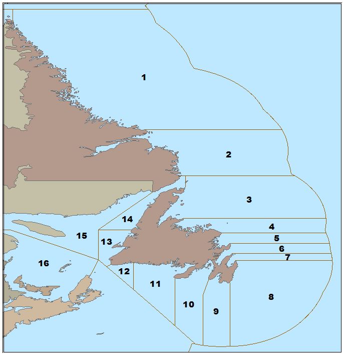 Carte des zones de pêche du capelan (1-16) autour de la région de Terre Neuve et-Labrador