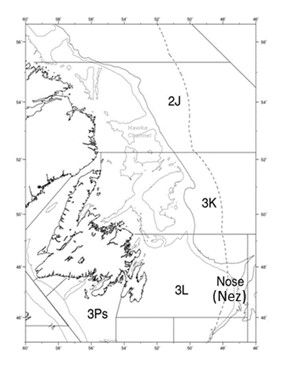 Carte nautique de l'océan Atlantique Nord-Est au large de Terre-Neuve-et-Labrador