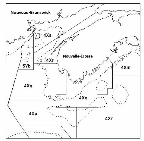 La figure 1 présente une carte du sud-ouest de la Nouvelle-Écosse qui illustre les limites des sous-divisions dans les divisions 4X5Y de l’OPANO.