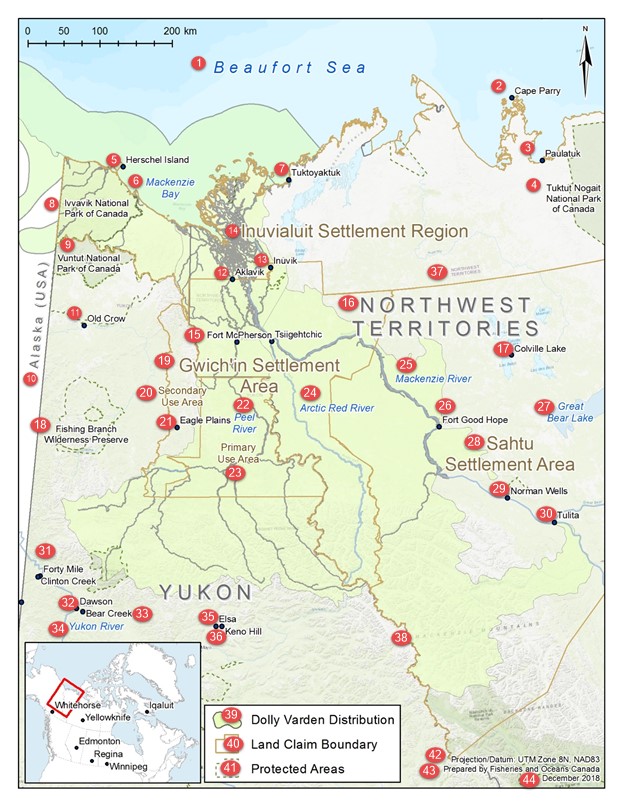 Carte montrant la répartition du Dolly Varden, qui se trouve principalement au Yukon, mais également dans certaines parties de l'ouest des Territoires du Nord-Ouest et de l'Alaska.