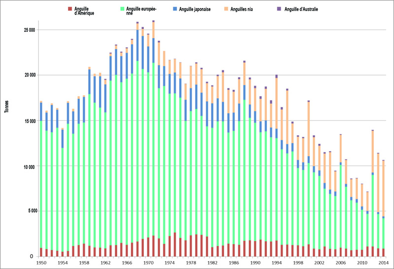 Production mondiale des captures d’anguilles, par espèce, 1950-2014