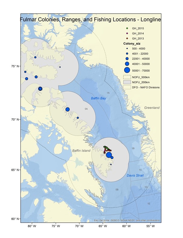 Image of map of overlap between Northern fulmar colonies and longline fishing locations