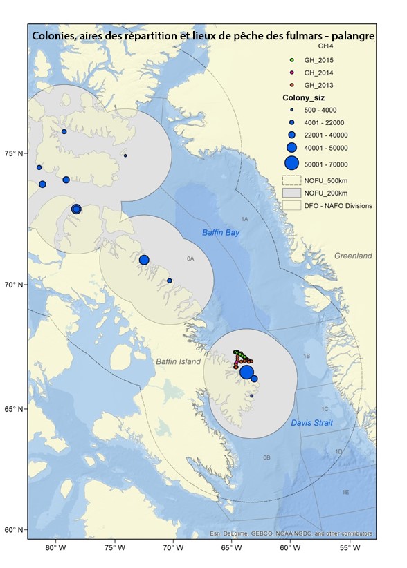 Carte illustrant le chevauchement entre les colonies de fulmars boréaux et les lieux de pêche à la palangre