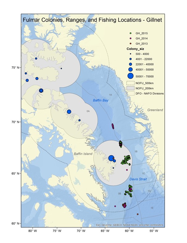Image of map of overlap between Northern fulmar colonies and gillnet fishing locations