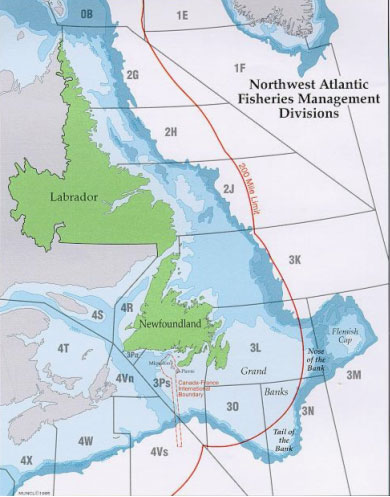 Carte des divisions de gestion de l’Organisation des pêches de l’Atlantique Nord-Ouest (OPANO) dans la région de Terre-Neuve et du Labrador et ses environs
