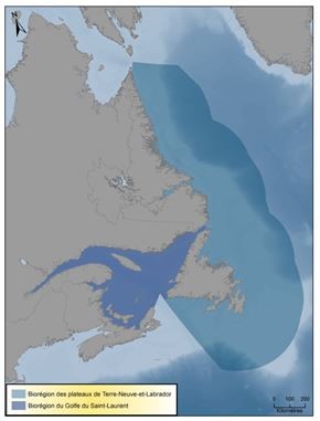 Carte de la biorégion de Terre-Neuve-et-Labrador et du golfe du Saint-Laurent
