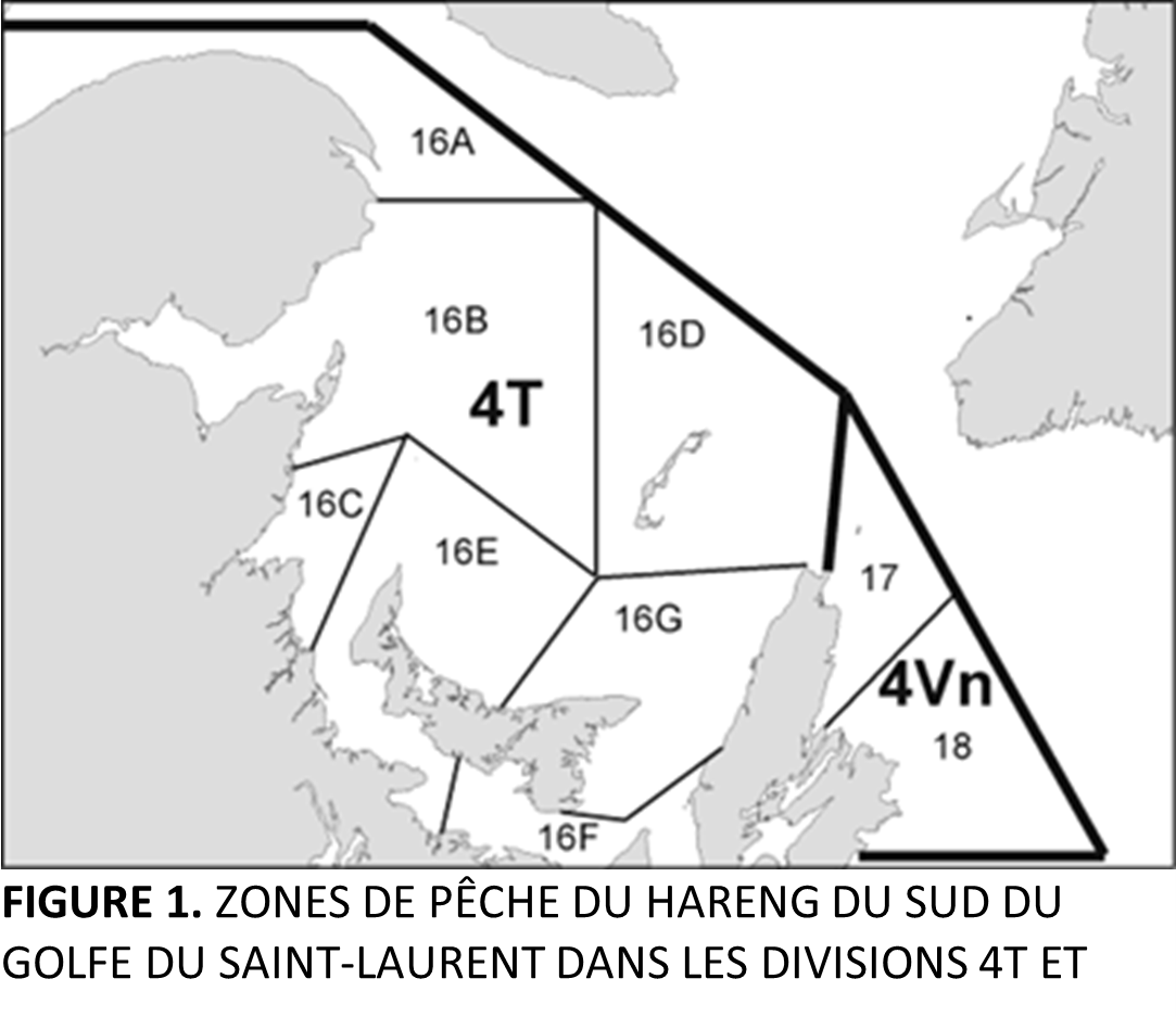 Figure 1, see text version